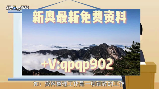 新奧2024資料大全最新版本詳解，新奧2024資料大全最新詳解版